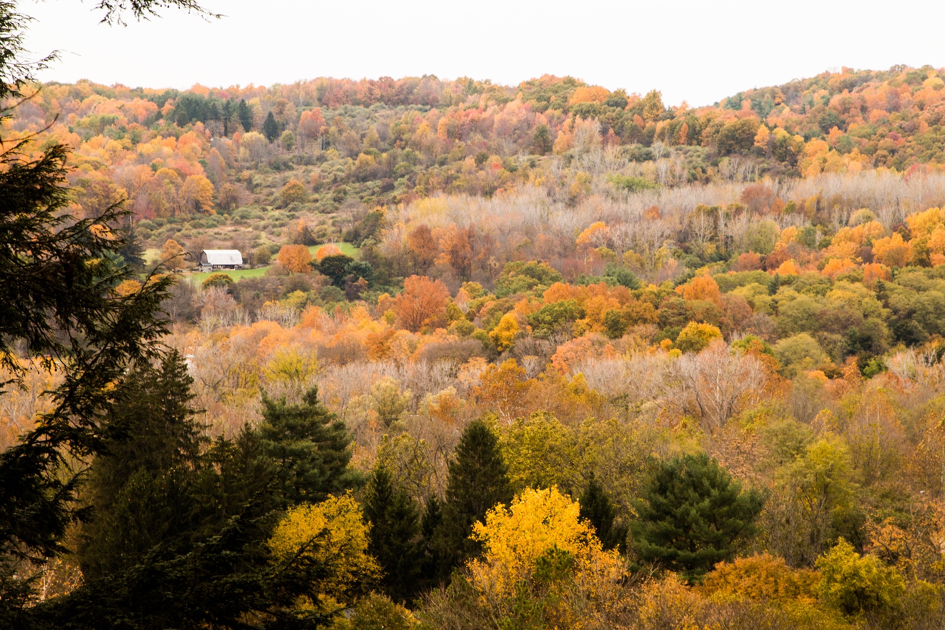 Autumn Landscape 11