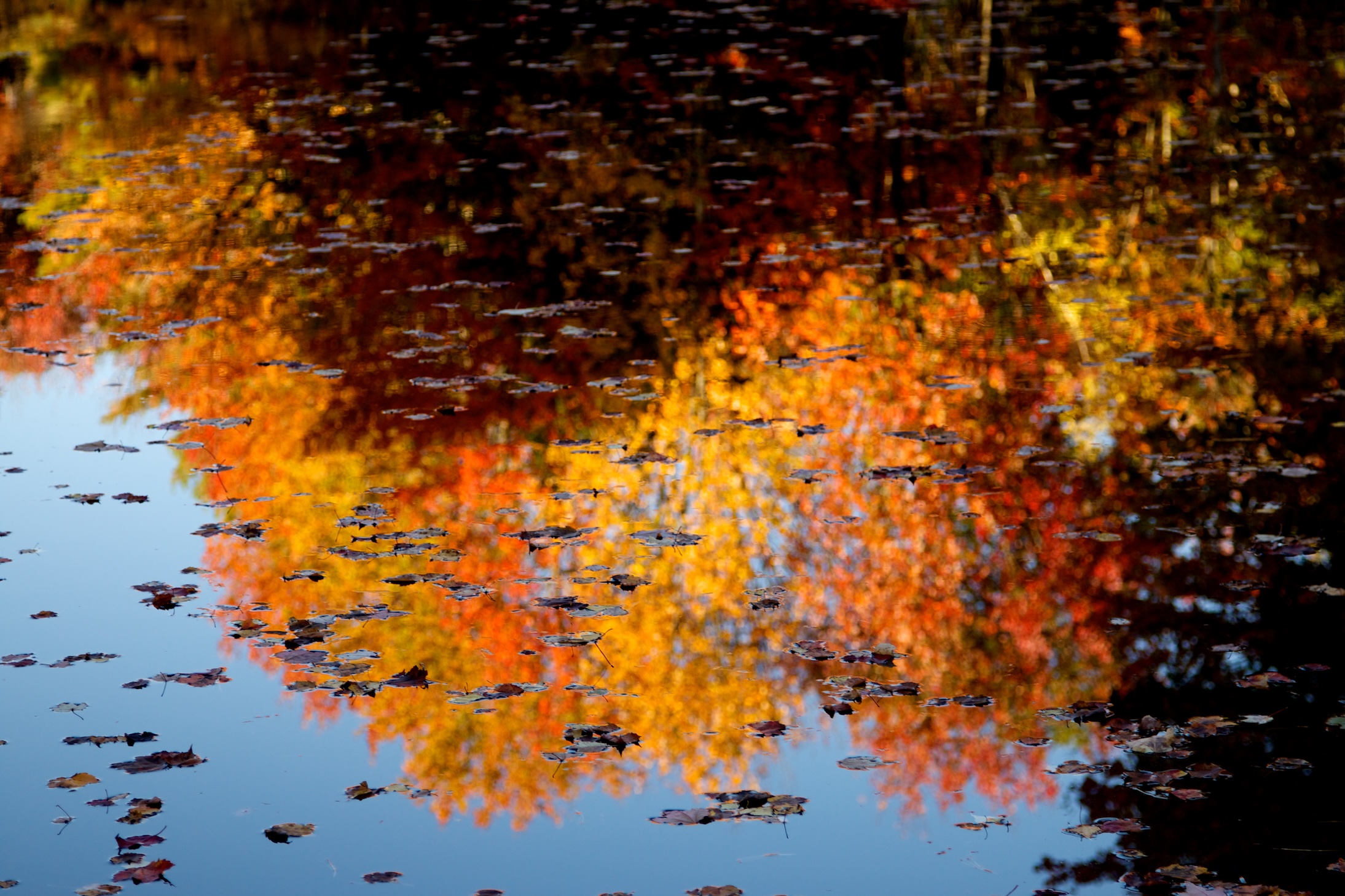 Autumn Landscape 9