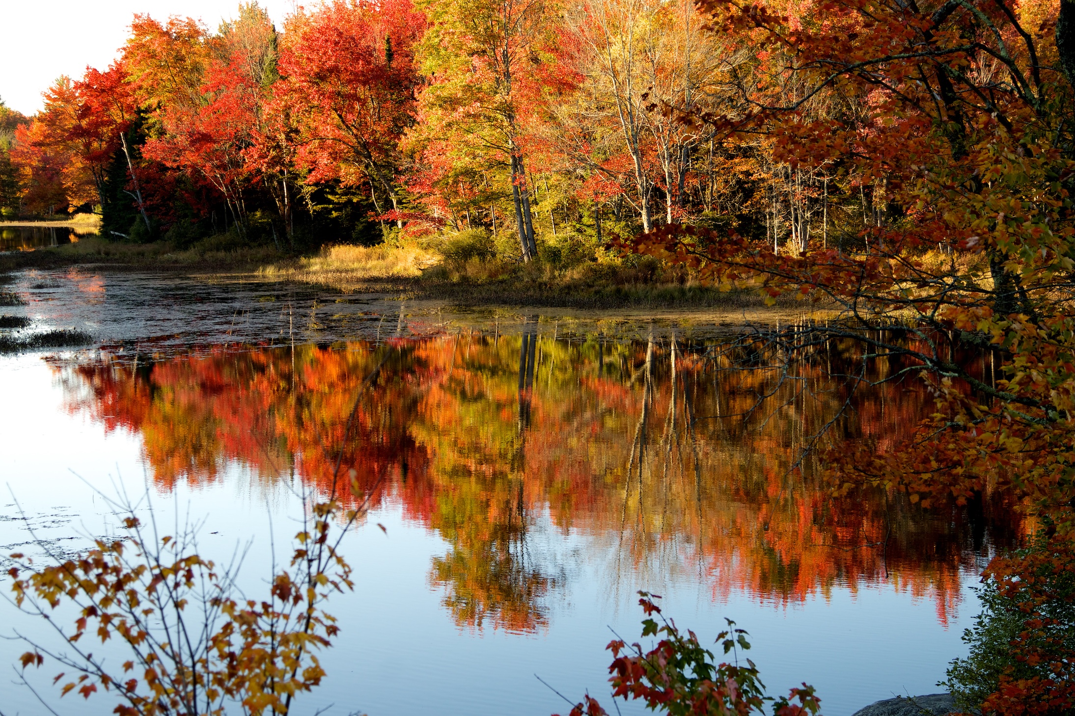 Autumn Landscape 8