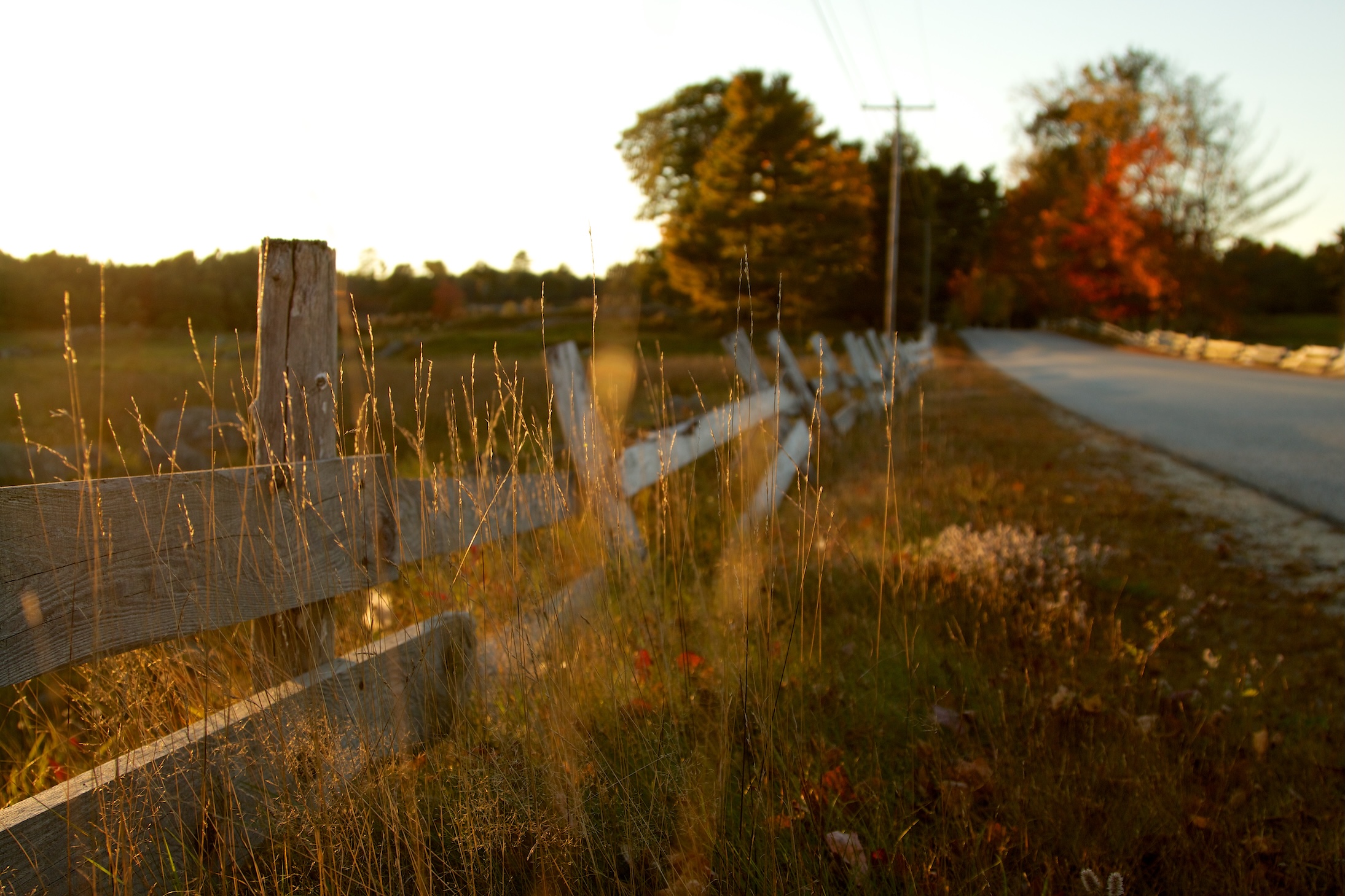 Autumn Landscape 6