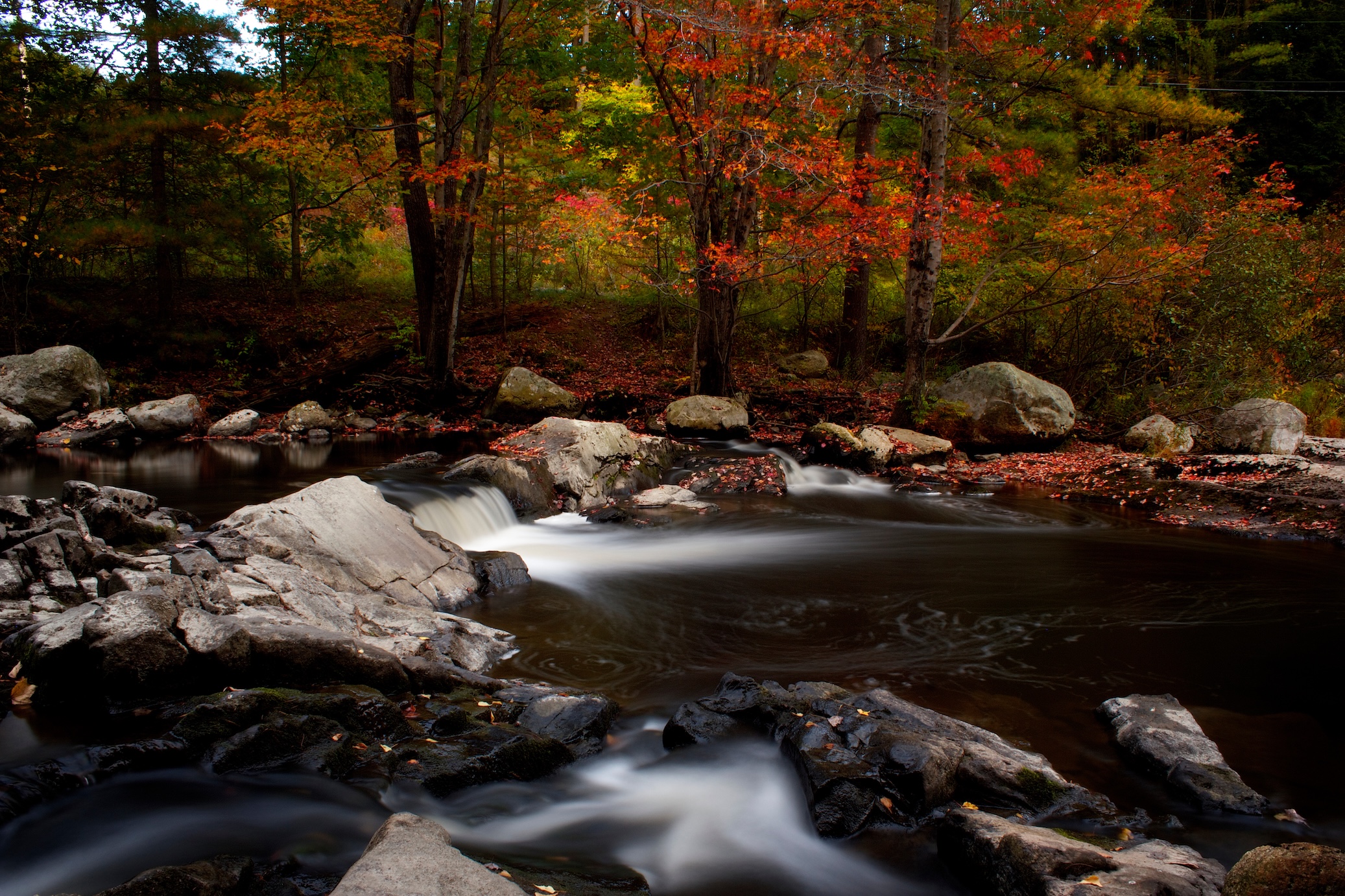 Autumn Landscape 5