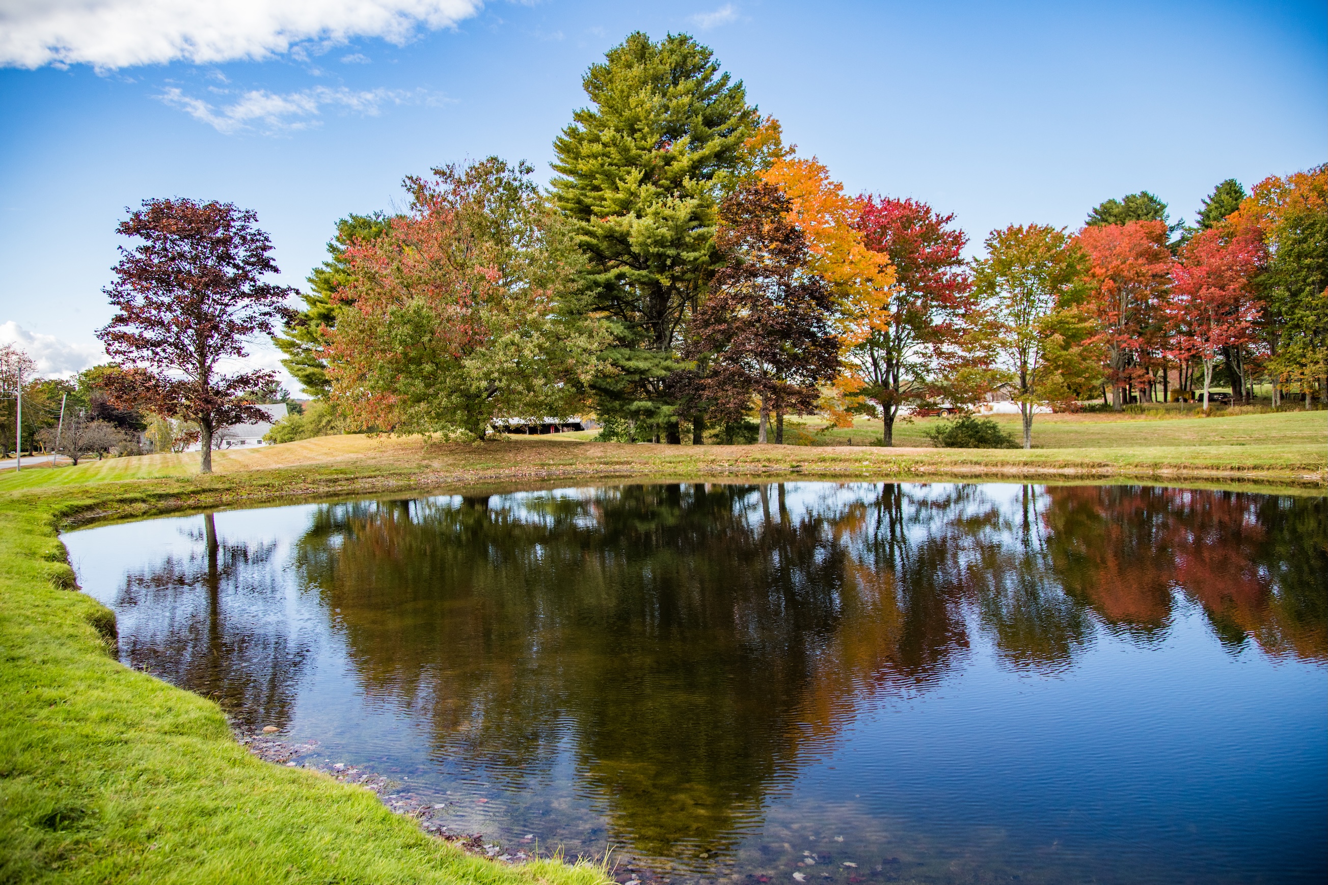 Autumn Landscape 3