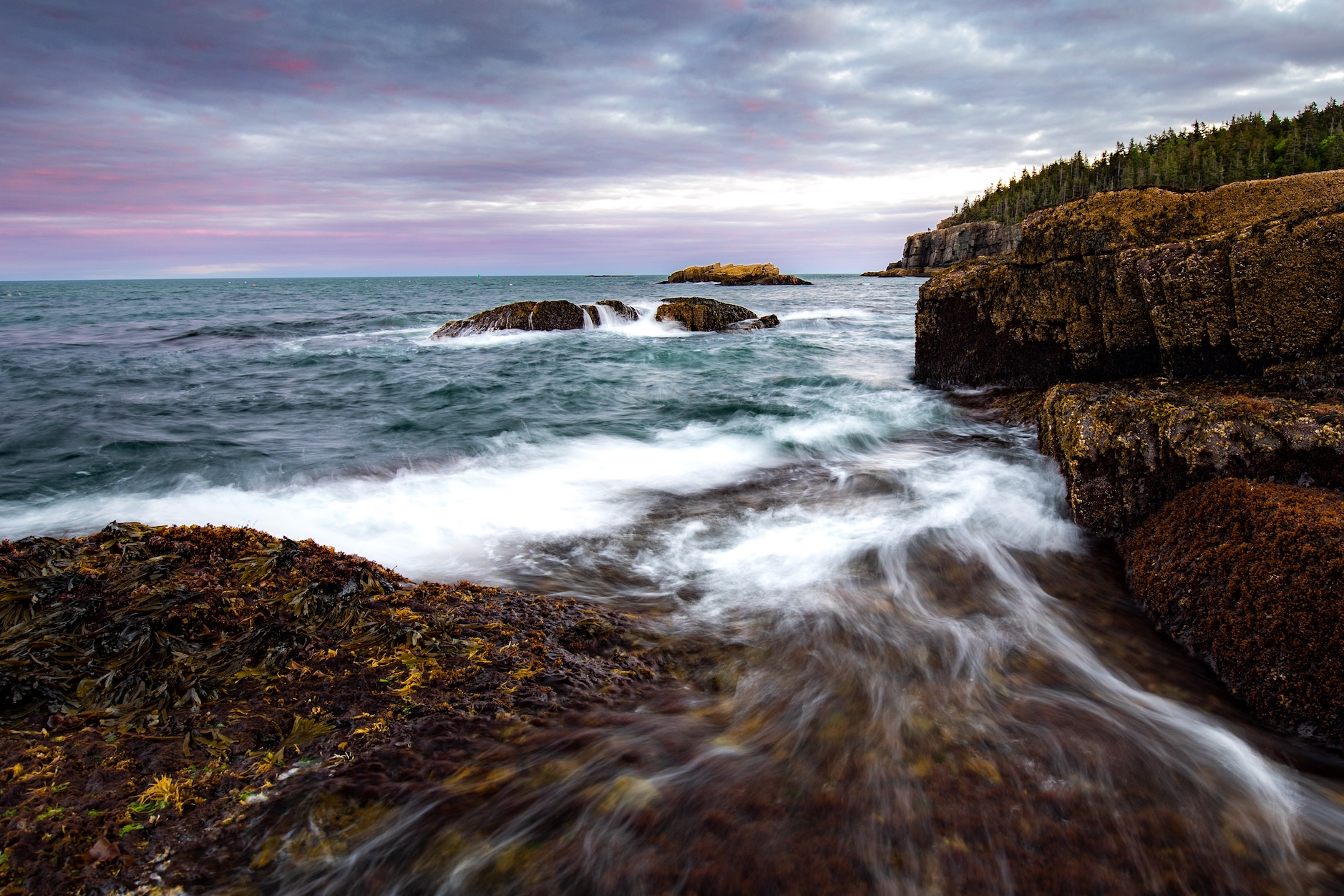 Ocean & Coastline 40