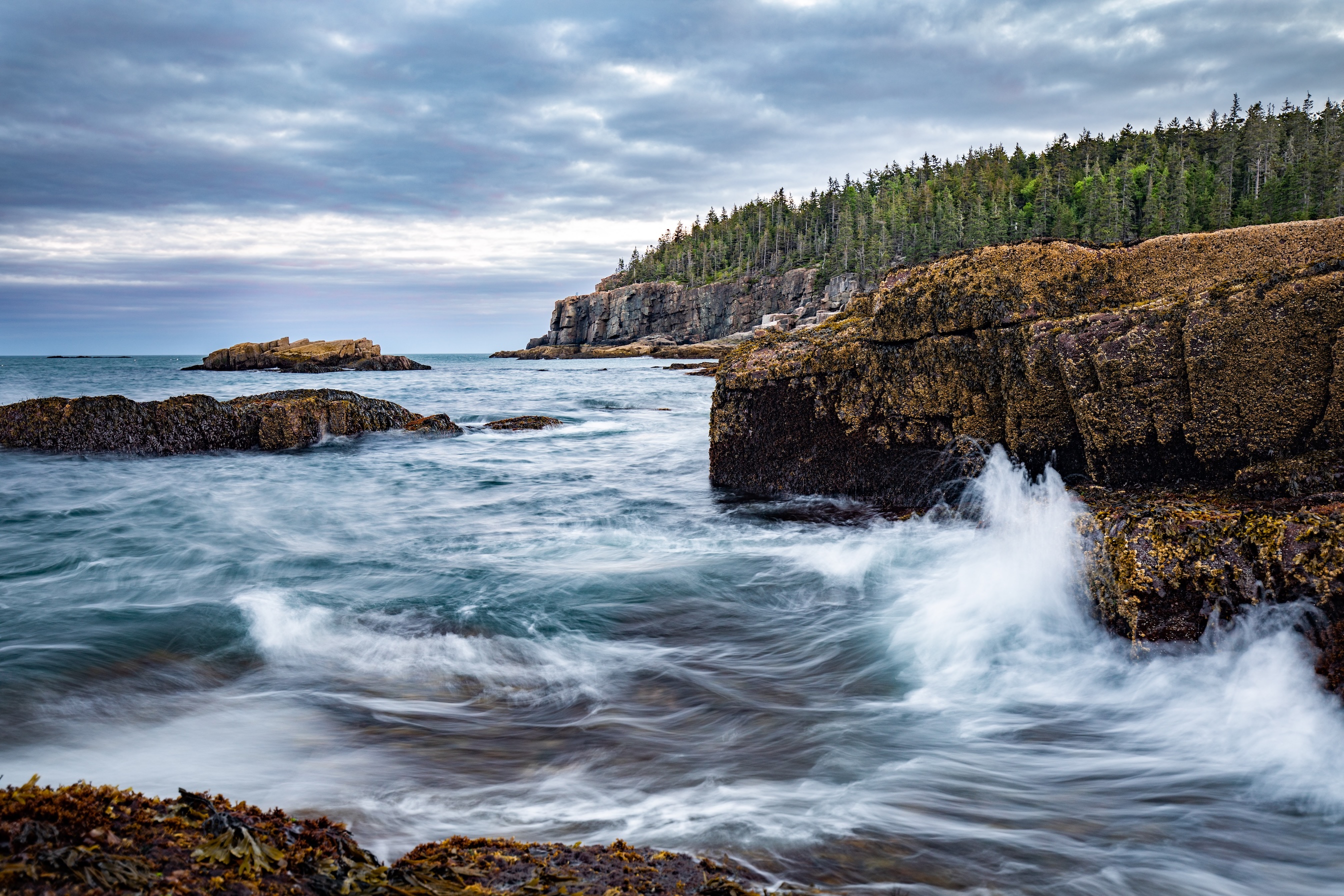 Ocean & Coastline 39