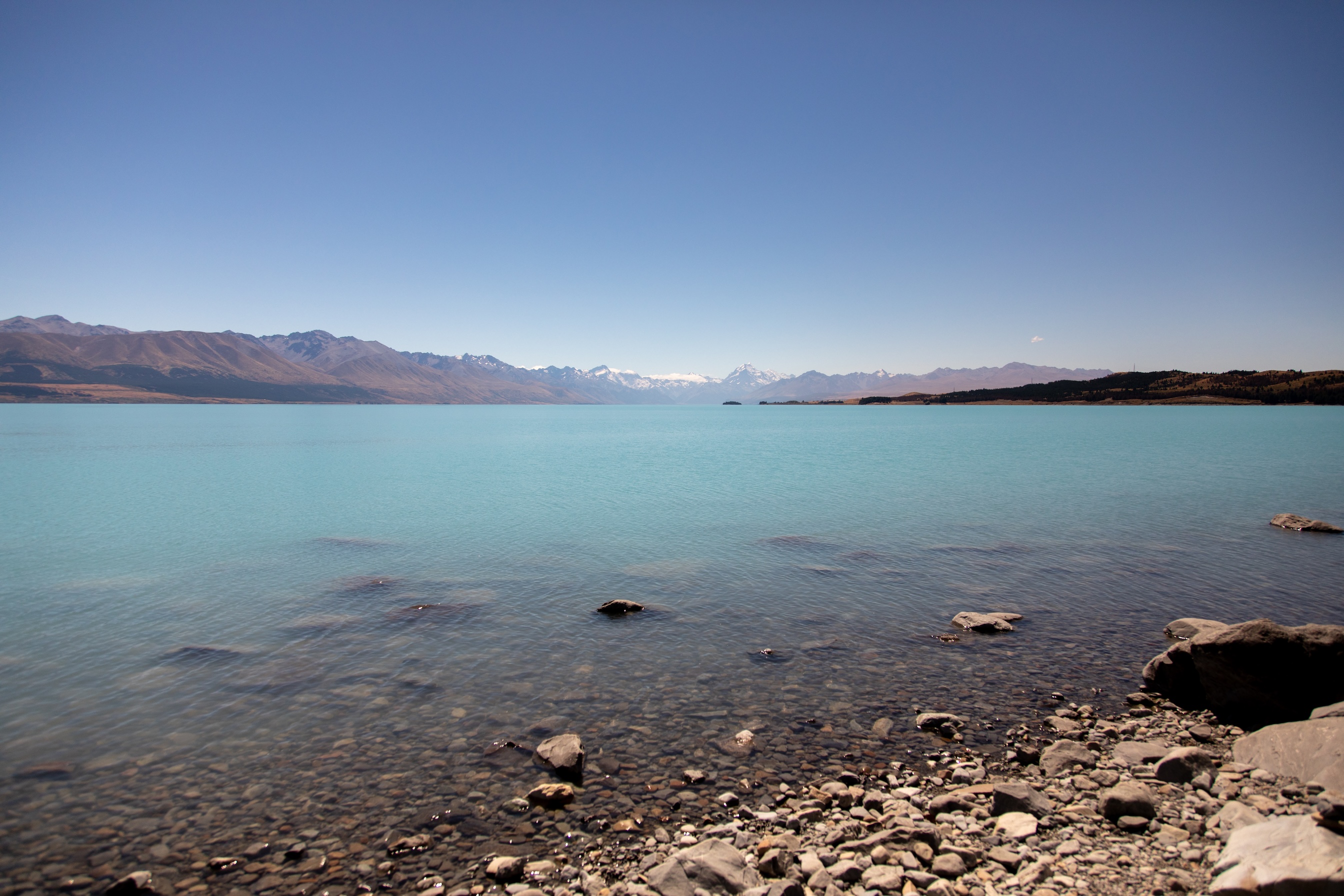 Landscape 41