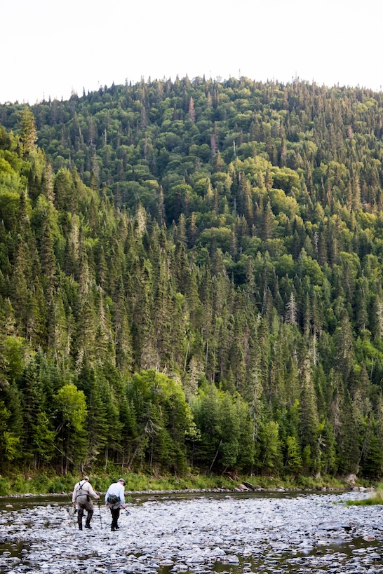 Landscape 38