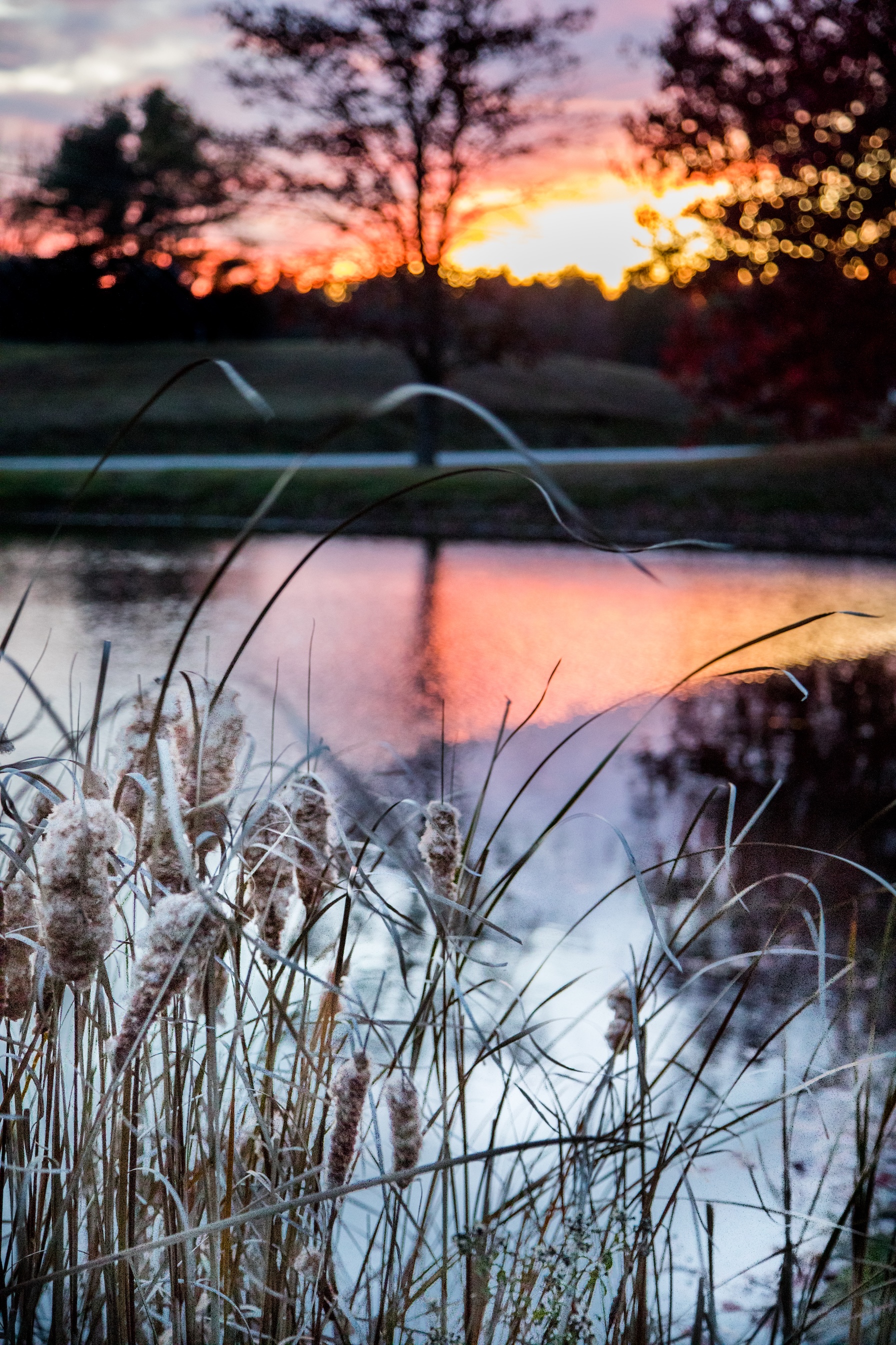 Landscape 5