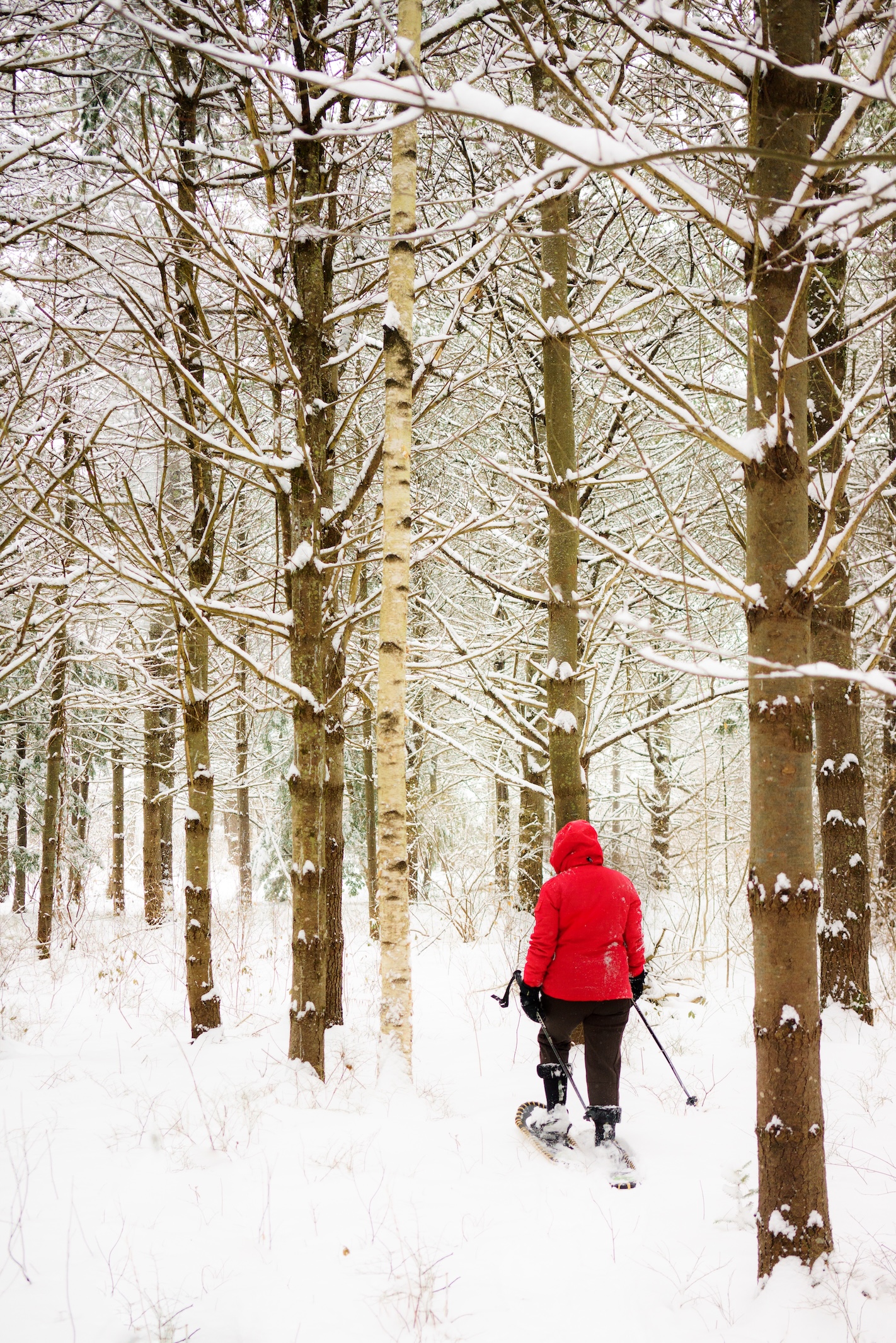 Winter Landscape 8