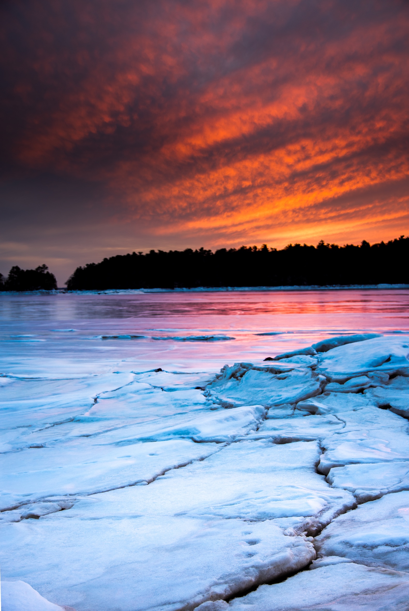 Winter Landscape 5