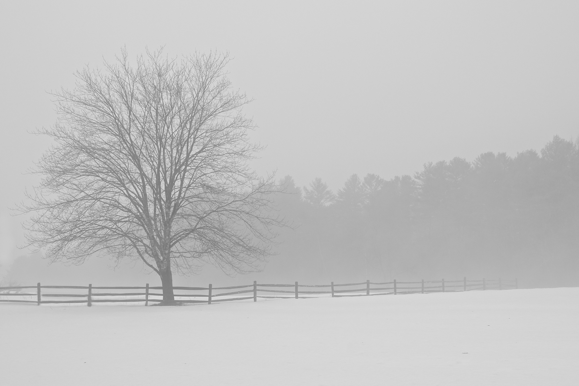 Winter Landscape 3