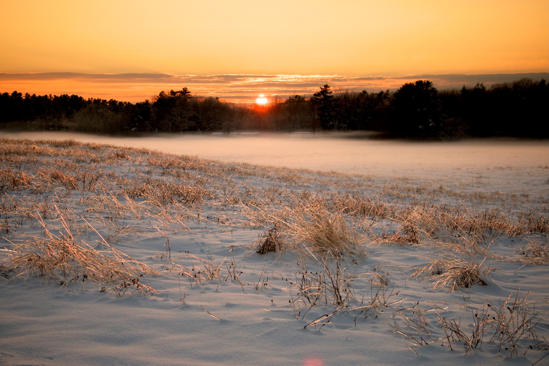 Winter Landscape 4